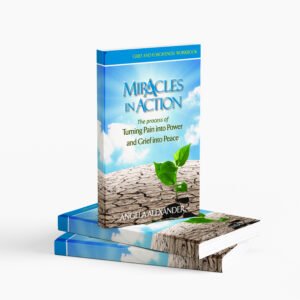 Miracles in Action - Work book