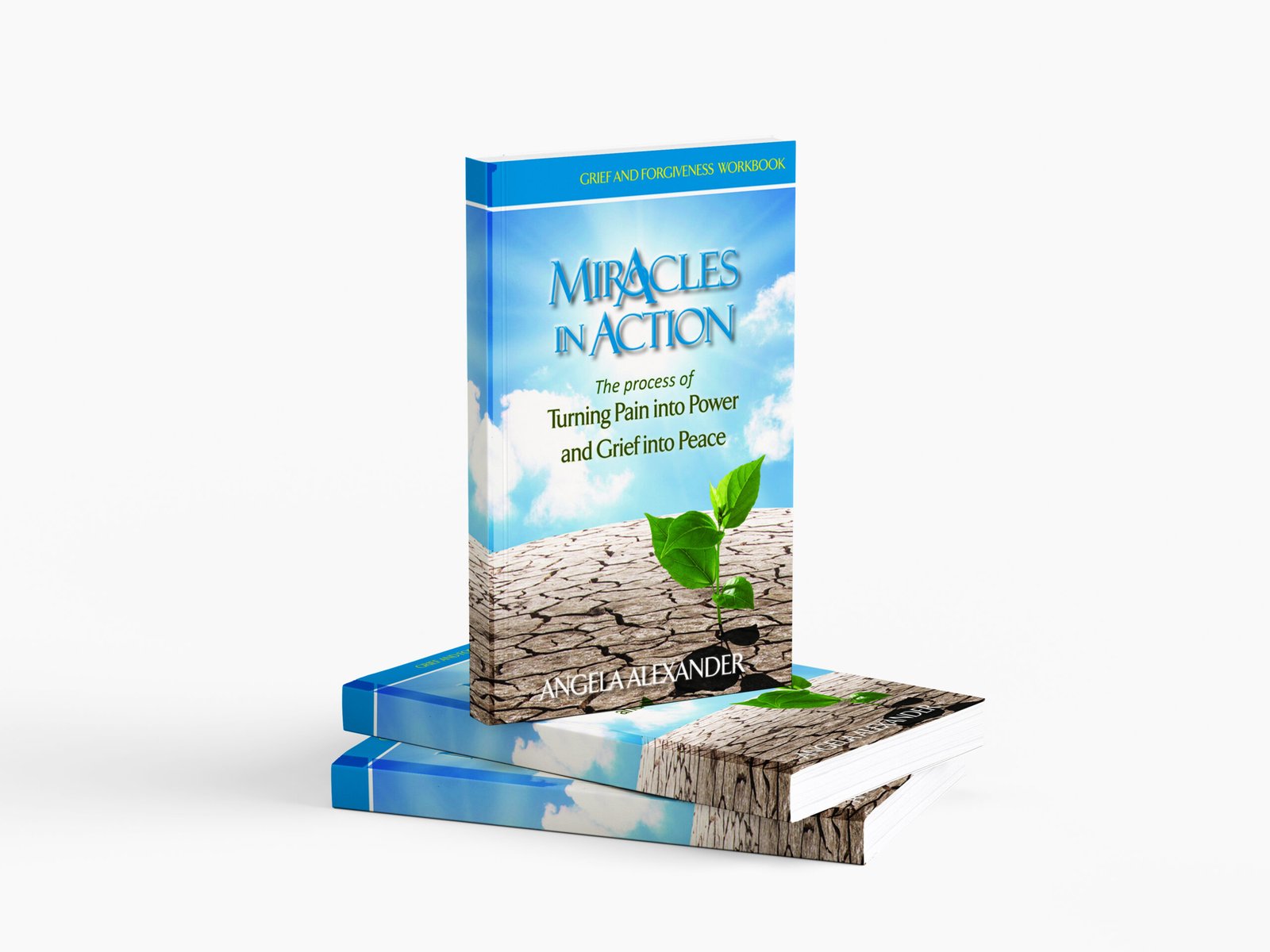 Miracles in Action - Work book