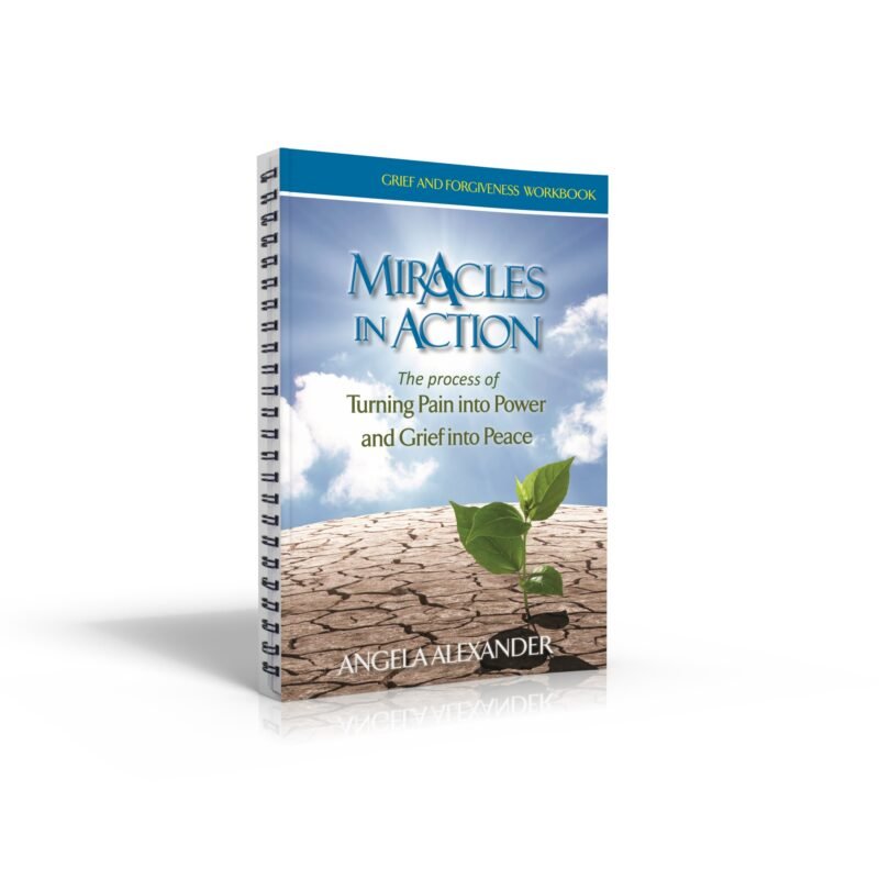 Miracles in Action - Work book